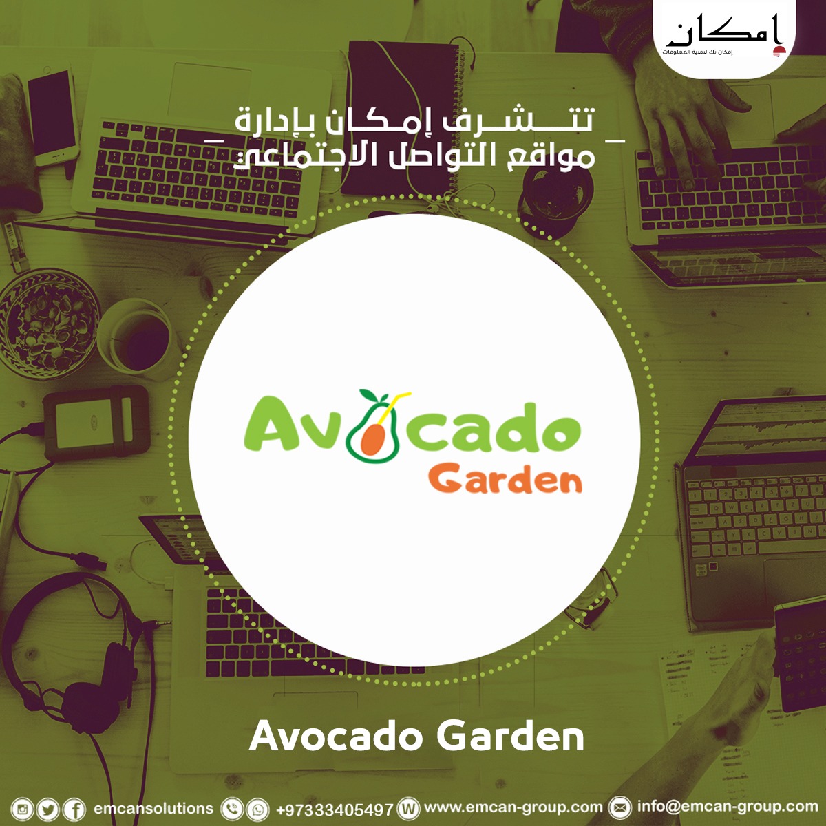 إدارة السوشيال ميديا لمحل أفوكادو جاردن