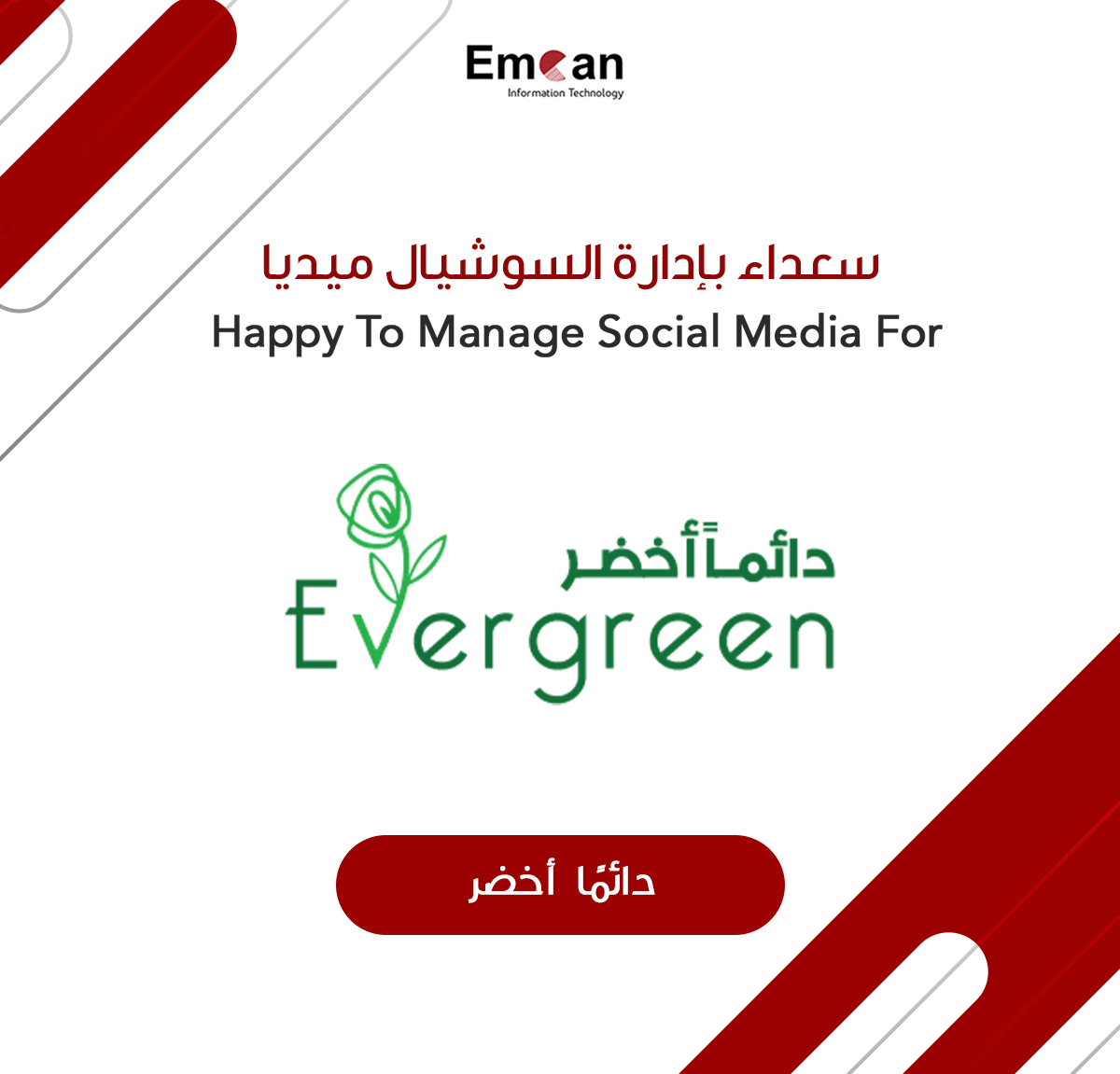 دايما اخضر