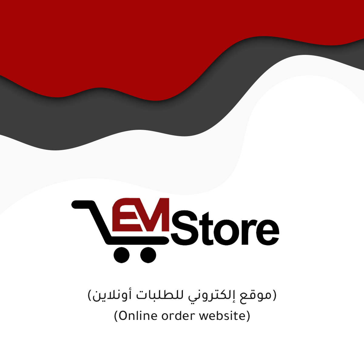 EMStore Electronic Shop